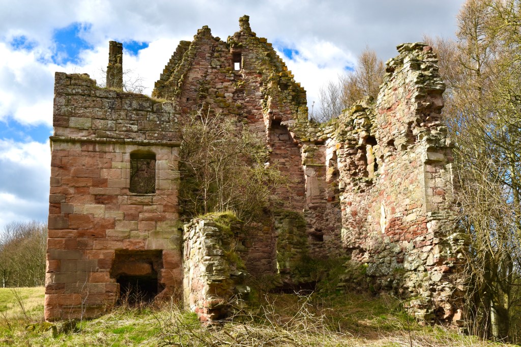 view from east showing damage to almost completely missing wall on this side. Inside is very overgrown. Trees on the right.
