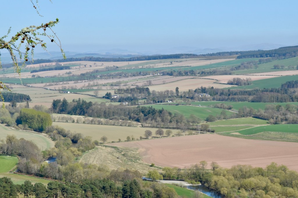 A view of Teviotdale, showing fields and farmland, as seen from on top of Minto Crags.