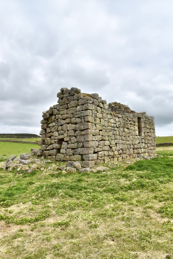 close view, showing a number of fallen stones. NO obvious windows in western wall.