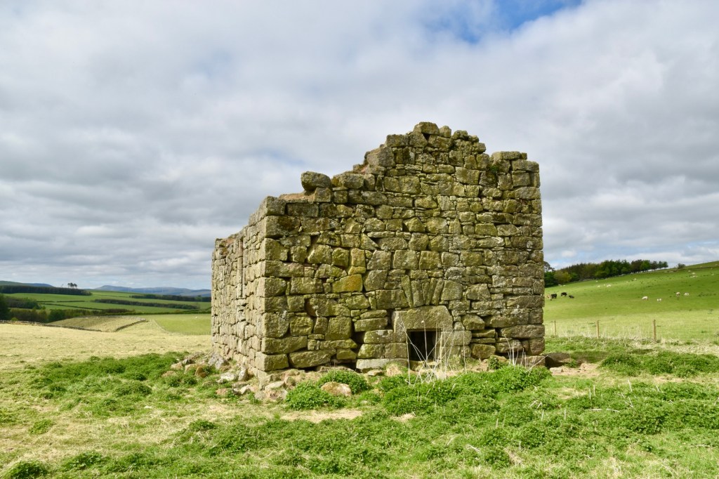 As caption, with corse green grass in foreground and a cloudy sky. Entrance to the basement is in the middle. No windows.