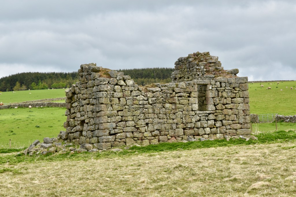 Side view showing opening for first floor doorway, right of centre in the wall. Fields and some trees to horizon.