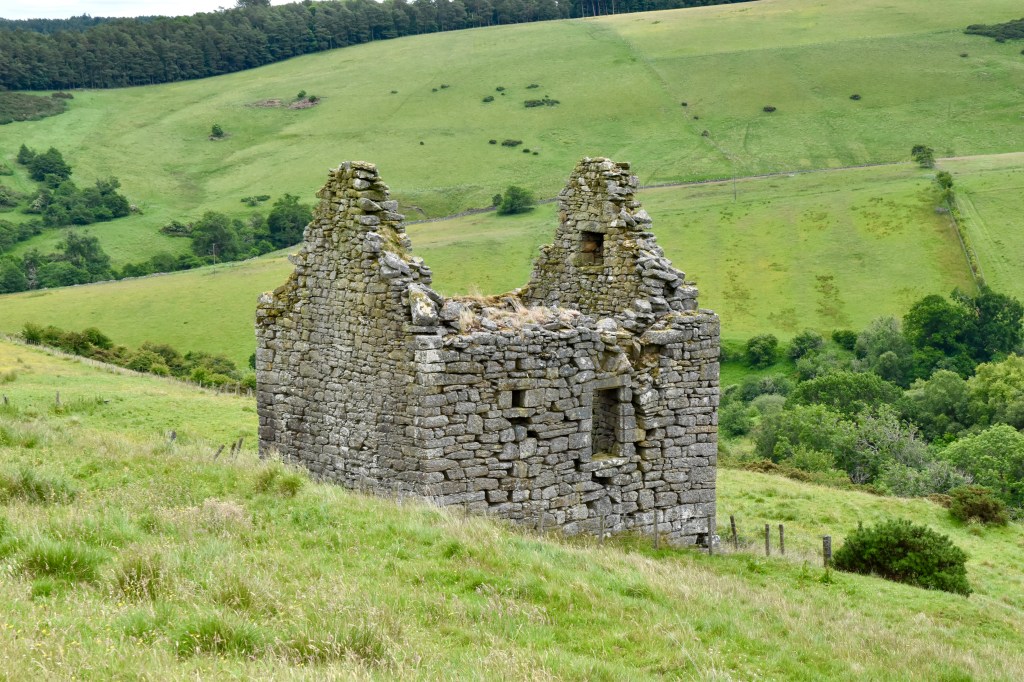 View from the hill, looking down at the south west wall, with doorway on first floor.