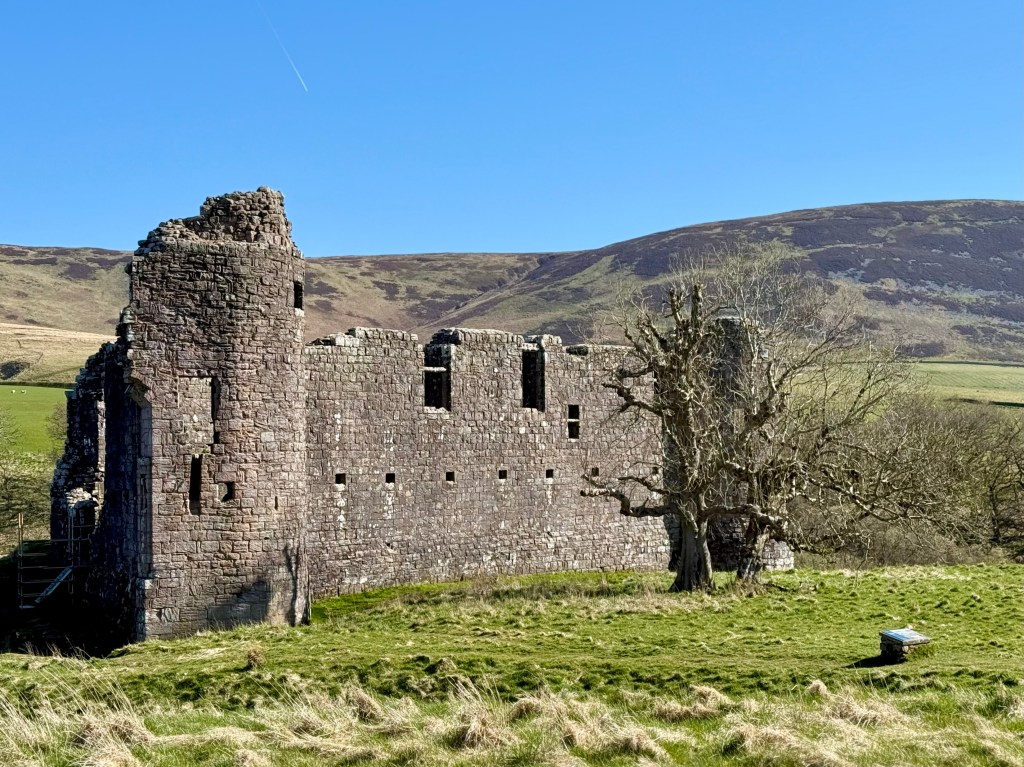 South-saide of the castle, with small openings in line on ground floor and two large openngs in wall at first floor level. Hills in background, grassed area in foreground with old tree.