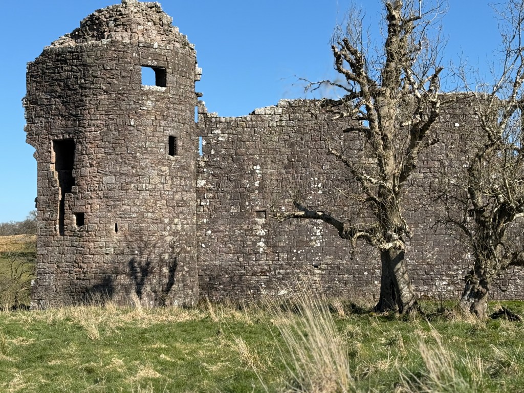 closer view of south western tower. Damage at the top and along top of the southern castle wall. Trees in foreground.