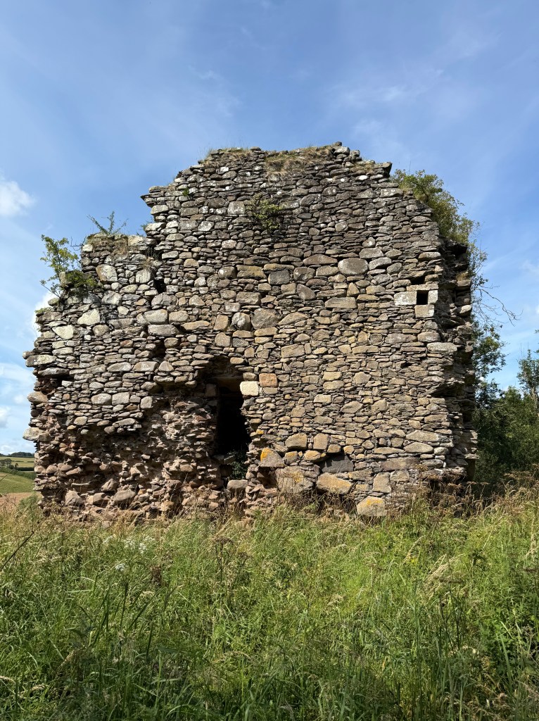 South wall again, but viewed at ground level. Main feature is the the hole (centre) and damage (left), both towards the lower part of the tower.