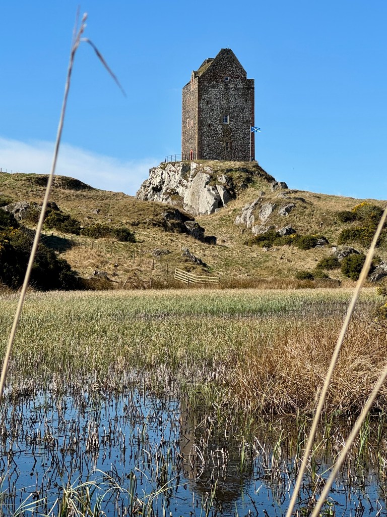 A distant shot of the tower, with the pond in the foreground. This contains quite alot of vegetation.