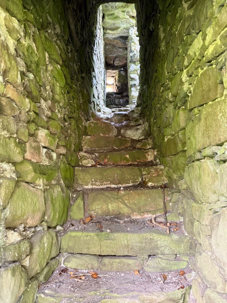 Stairs, built into east wall. Weathered and greenish, but apparently intact.