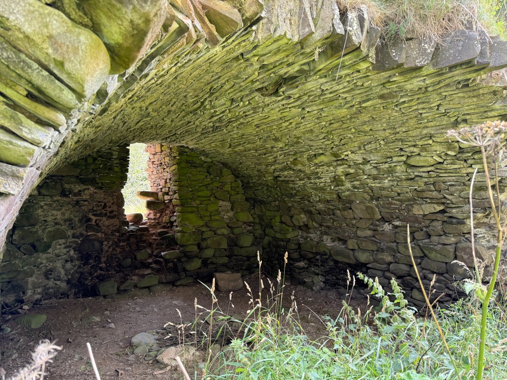 View of vaulted basement. Arched roof very clear. Stonework is greenish and weathered. Hole in wall at far end (south).