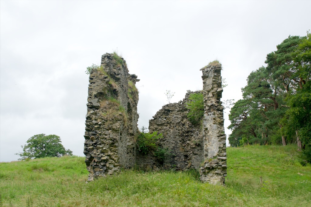 Frontal view, showing overgrown inside., which is badly damaged.