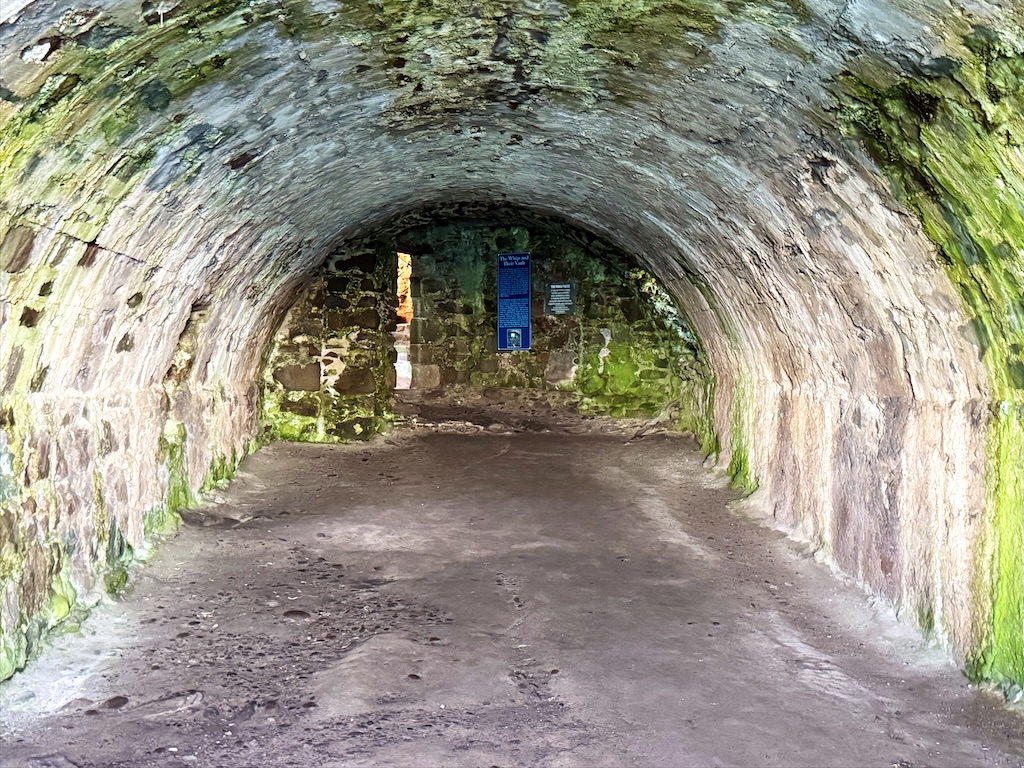 Vaulted storage area, with rough stone walls. Door at far end. No windows.