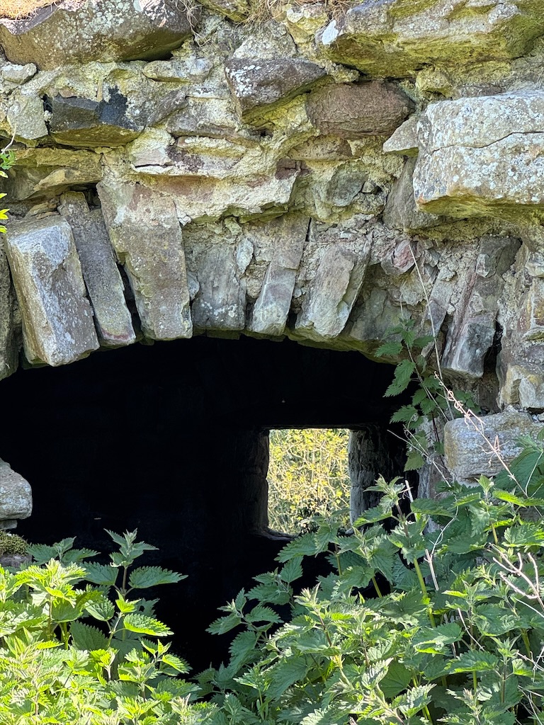 Valted basement edge wall in gentle curve, with basement inside in shadow. Window in far wall. Nettles in foreground.