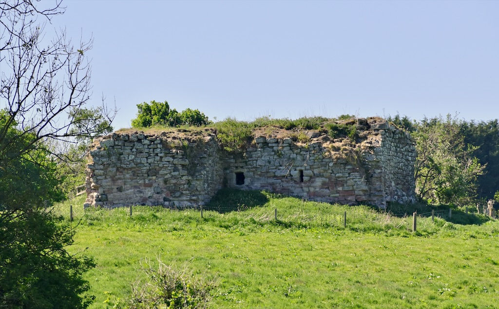 Another view of eastern side, with window visible. Trees and bushes in foreground, and behind.