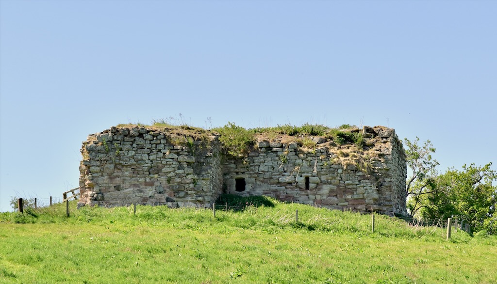 Tower, standing to bottom of first floor, with ground sloping gently towards the foreground. Vegetation growing on top of walls. Grass and weeds in field. Tower is surrounded by a low fence.