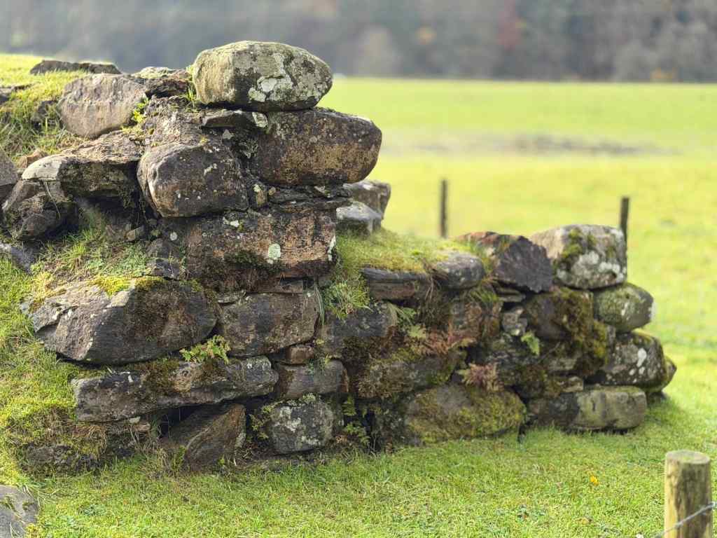 Close-up of a damaged piece of wall. Weathered grey and black large stones, overgrown with moss/lichen and grass. Field beyond.