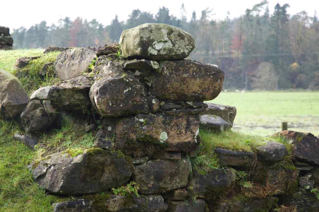 Another close-up of a badly damaged wall. Lichen prominent.