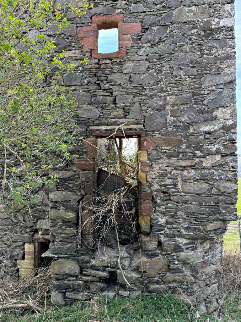 Close-up of east wall, showing red sandstone around the windows, in contrast to the grey rubble whinstone. There is a serious crack in the wall running downwards.