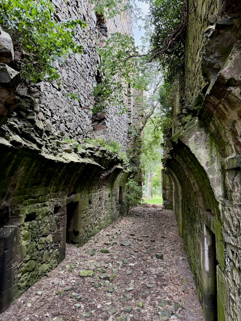 Walls extending upwards either side of corridor. Valuted shape of basement very apparent.