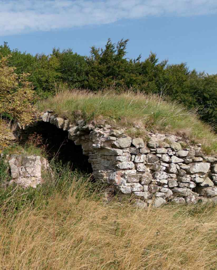 Cross-section of barrel vaulted basement, showing arched roof, overgrown with grass.