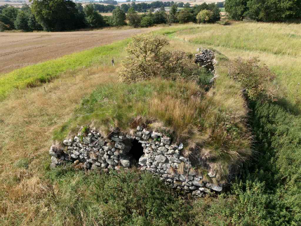 Outline of the tower visible, although heavily overgrown. Small tree in an area where the basement roof has collapsed. Field surrounding the ruin.