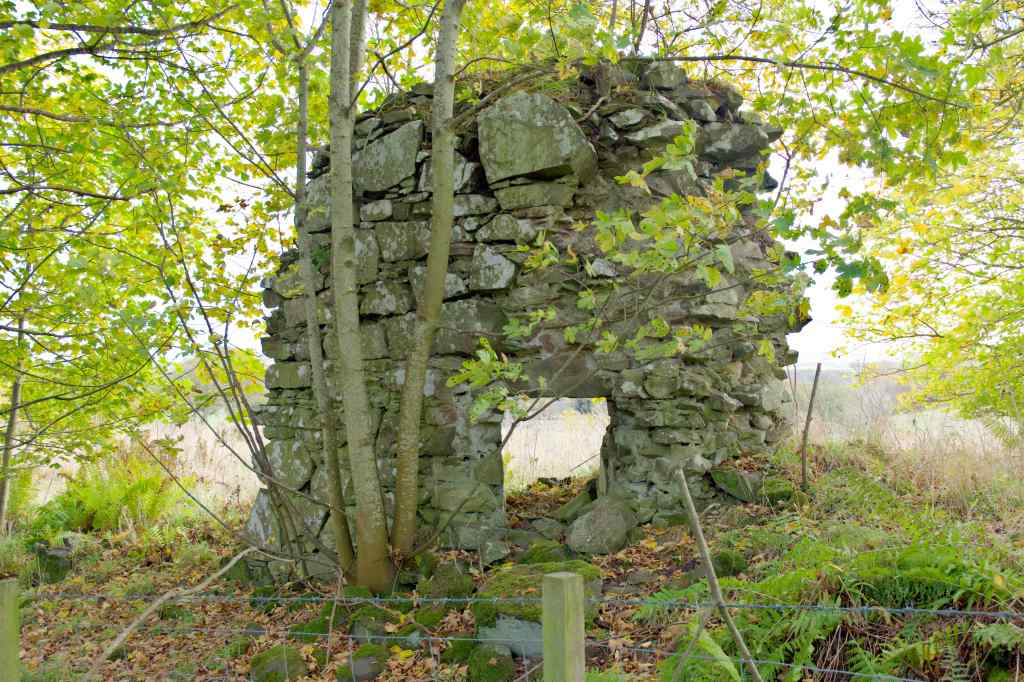 A fragment of the castle wall, with a window or small opening surrounded by trees.