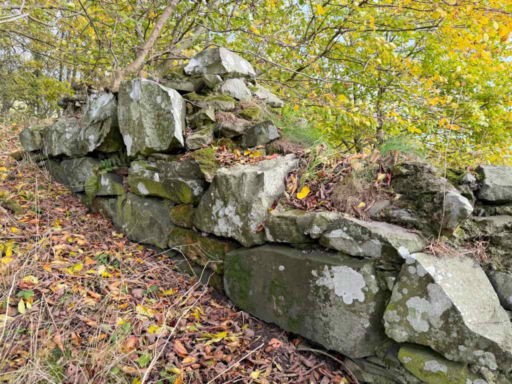 a longer but lower section of the wall, covered in plant debris, with trees beyond.
