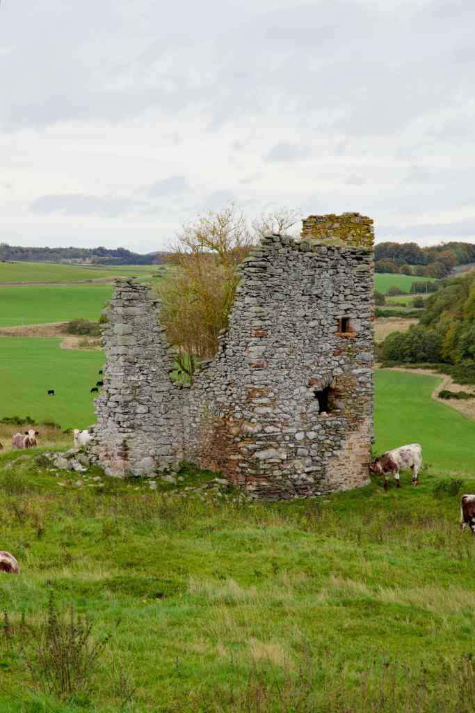 Ruin, sitting above a field. Cows grazing nearby. Trees and hills in the background, The ruin is almost complete on the right-hand side, but much of the rest is missing. A tree is growing behind the standing wall. The wing can be seen towards the left.