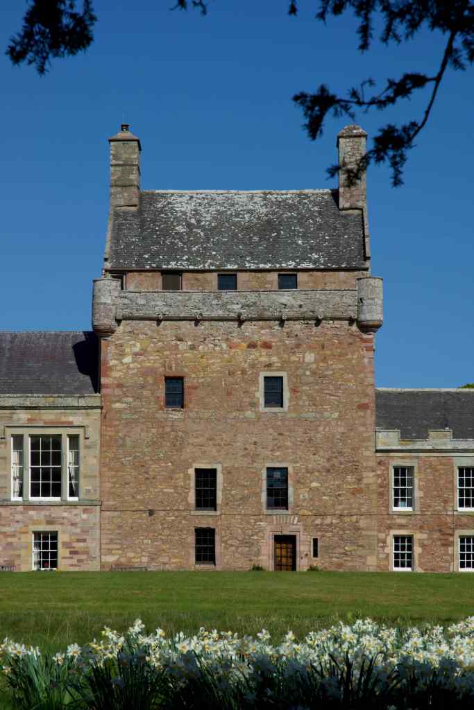 The tower, viewed from a distance and under a tree. Daffodils in the foreground. Blue sky is in contrast to the warm brown colour of the stone tower.