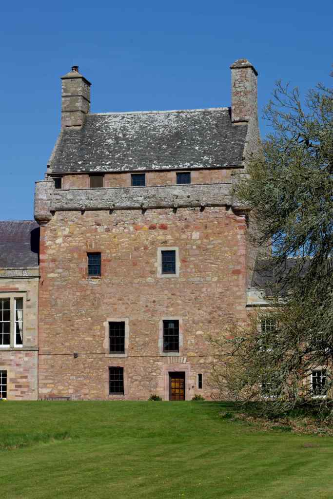 Another close-up of the tower, with a tree to the left.