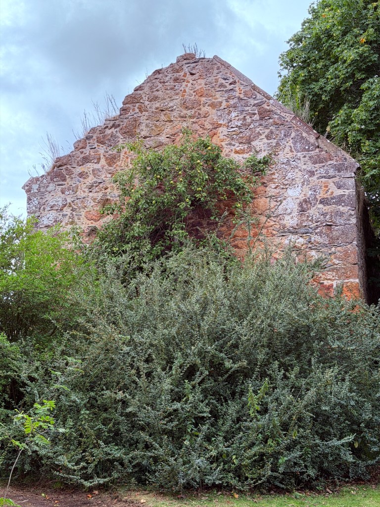 Gable end of Fishers Tower, behind bushes.