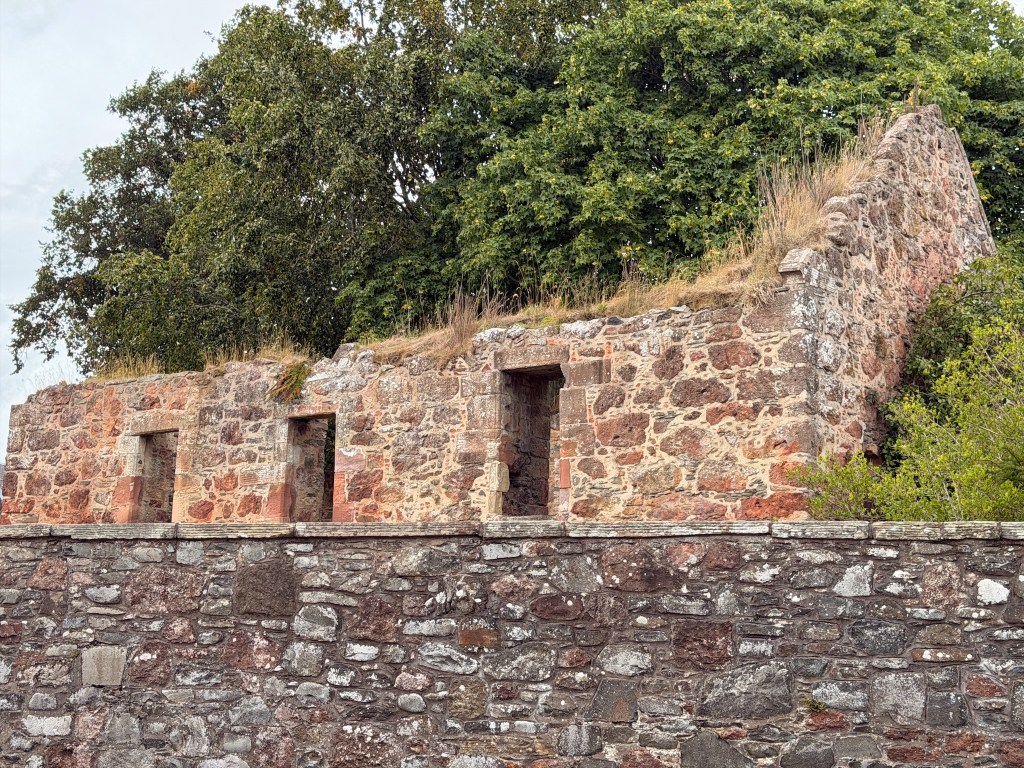 roofless ruin, overgrown by vegetation, with 3 windows, appearing behind a boundary wall.