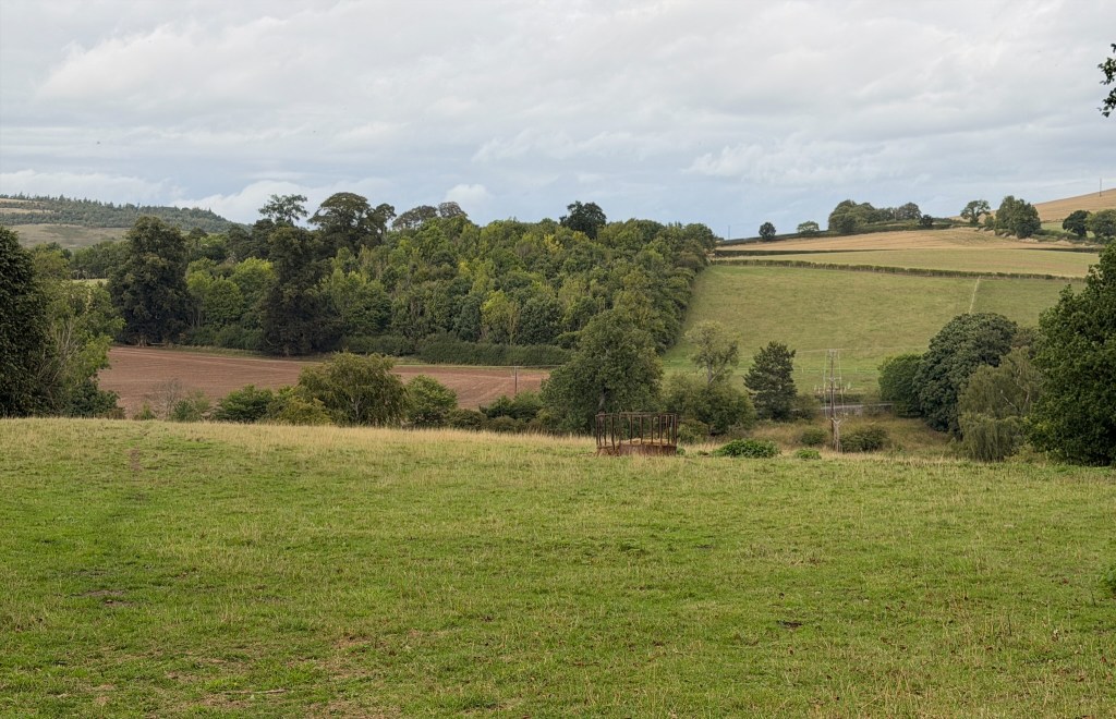 Field sloping gently away towards the river. Trees on the hill rising on the other side.