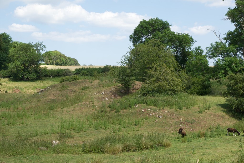 Earthworks, in the form of a mound, overgrown by grass and other vegetation. Scattered stone rubble. Grazing animals.