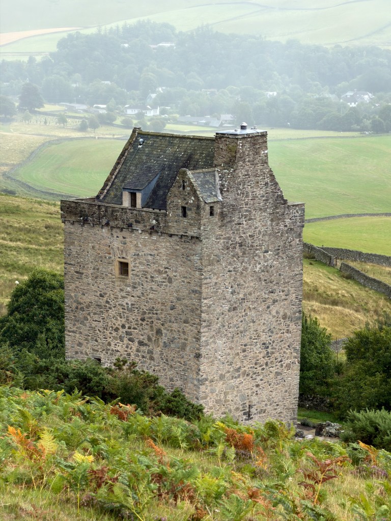 Tower viewed from the hill above, with bracken growing towards the building and small trees beyond. There are very few windows visible, but the north west cap house can be seen.